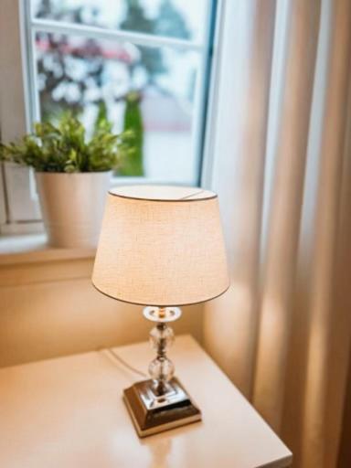 Newly Renovated Studio Apartment - Free Parking And Ev Docking تروندهايم المظهر الخارجي الصورة